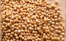 > </div>
<div class=